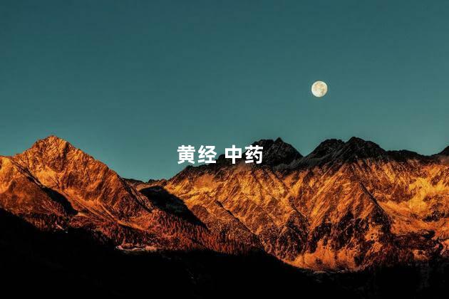 黄经 中药